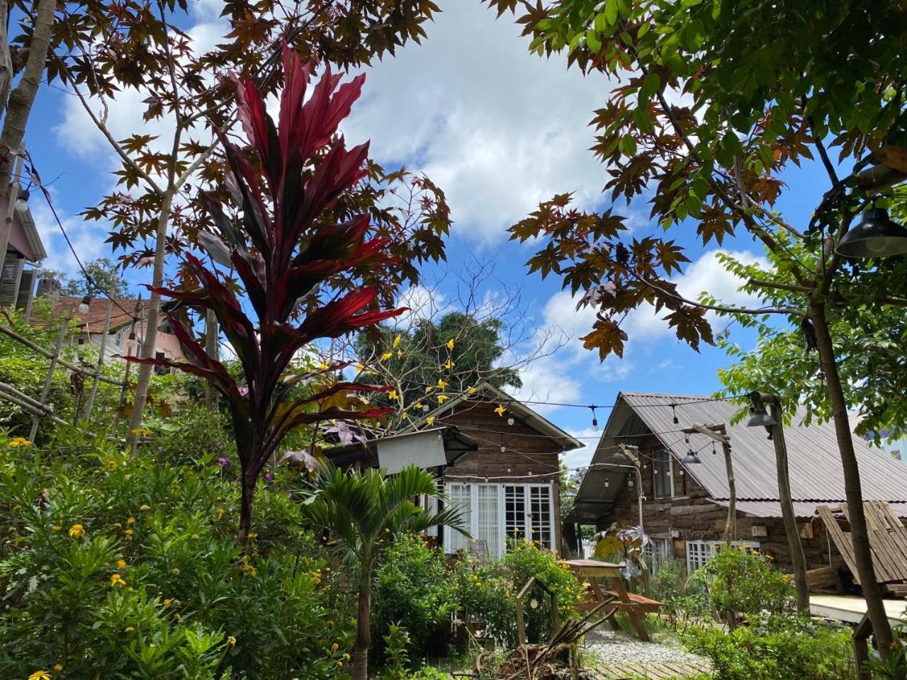 Apartament The Burrow Dalat Zewnętrze zdjęcie